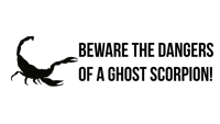 Beware The Dangers Of A Ghost Scorpion!